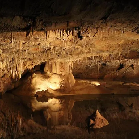Family Retreat In Thedirac Semesterbostad Lavercantière