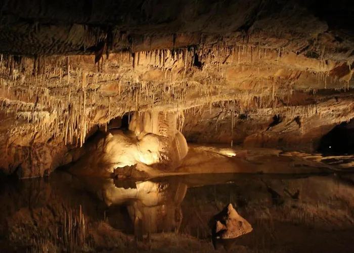 Family Retreat In Thedirac Vakantiehuis Lavercantière