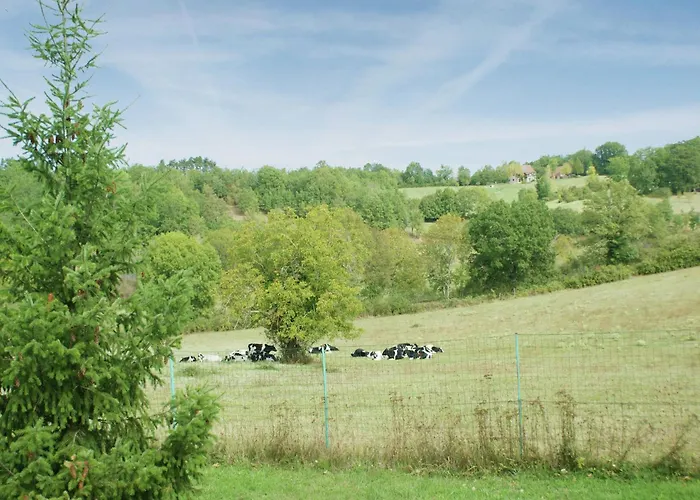 Family Retreat In Thedirac Feriehus *